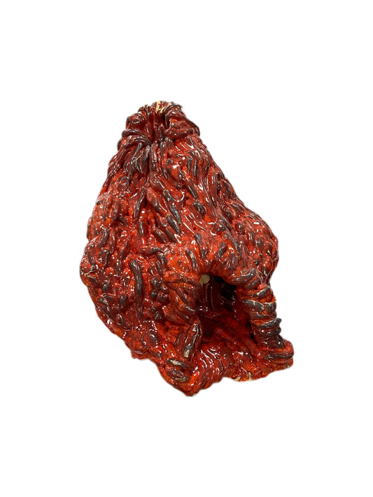 Mucosa (Stomach lining)