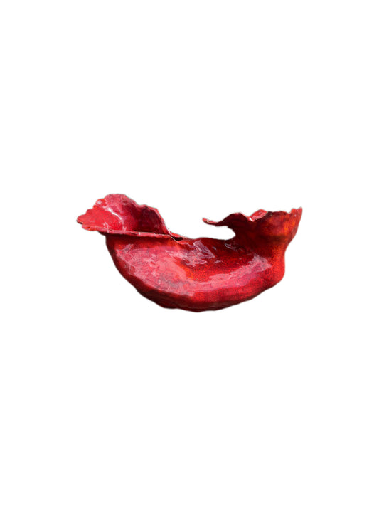 Ovary