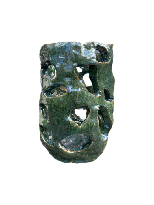 Auris Interna  (Ear)